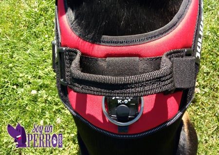 Parte superior del Julius K9