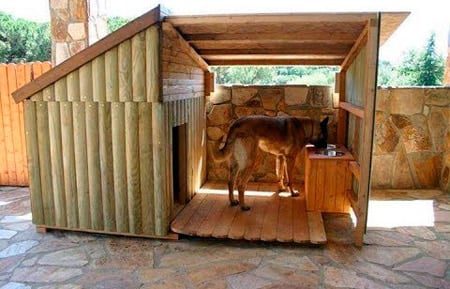caseta para perro en exterior