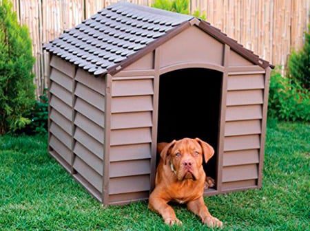 caseta para perro de plástico