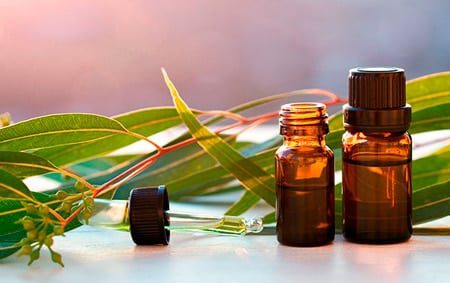 aceite esencial eucalipto
