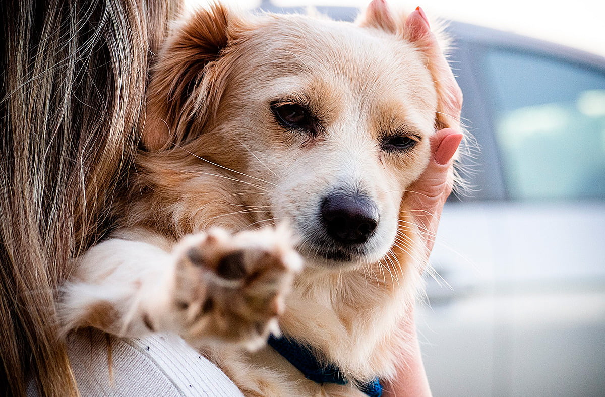 perro en brazos tras la maniobra de Heimlich