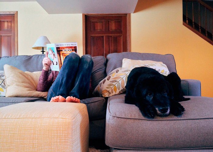 perro dentro de casa