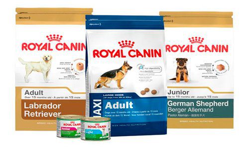 royal-canin-pienso