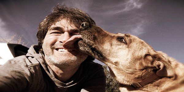 perro lamiendo humano