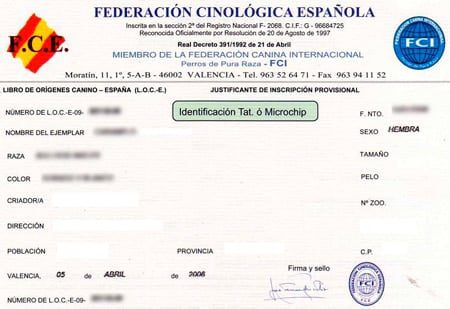 certificado de pedigree