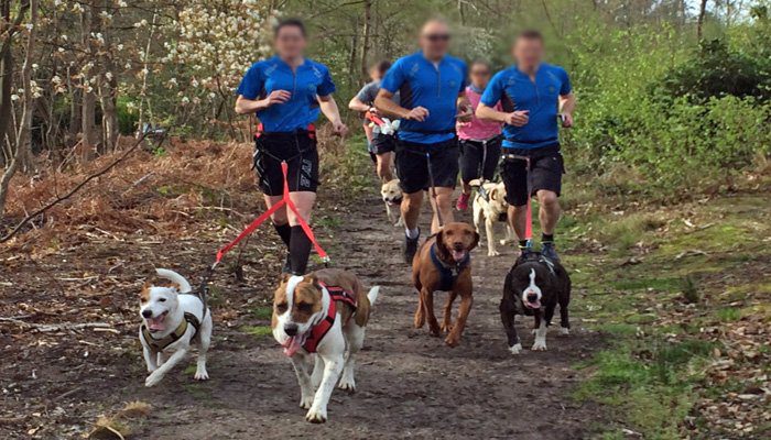 canicross deporte perros