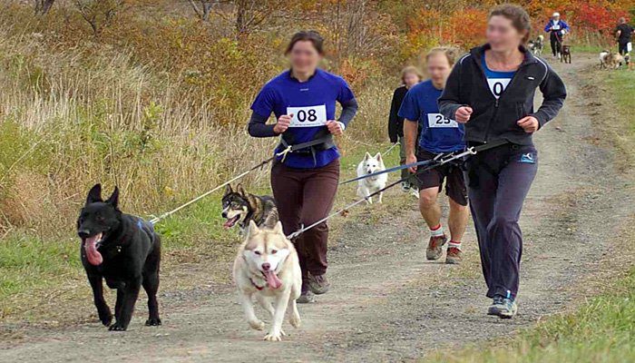 carrera de canicross
