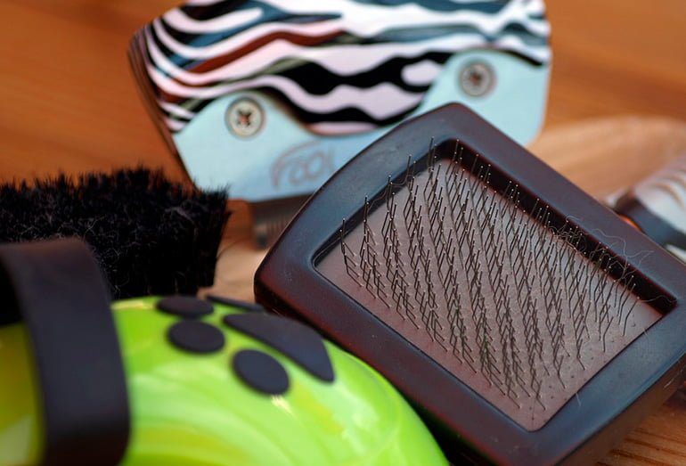 cepillos de pelo para perros
