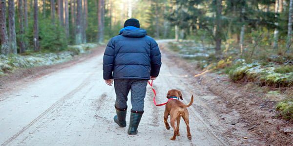travesia por el monte con perro