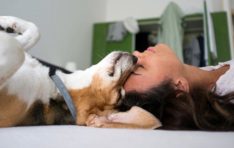 perro relajado junto a su humana