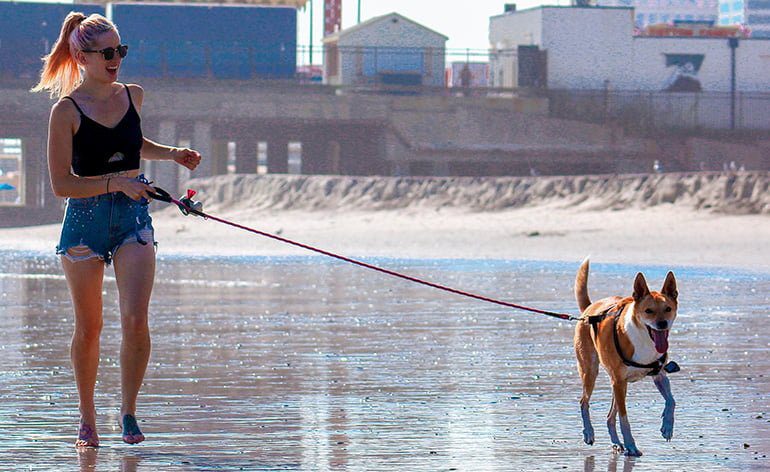 mujer-corriendo-con-un-perro