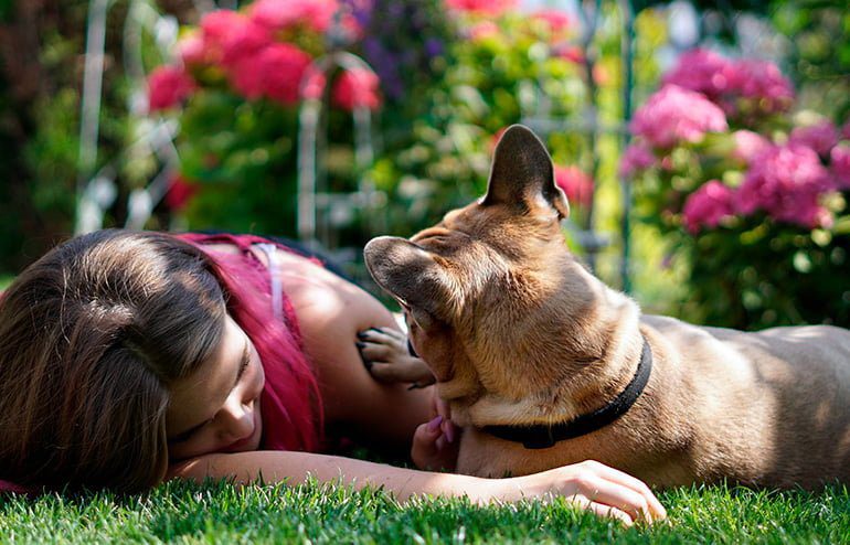 perro jugando con su humana