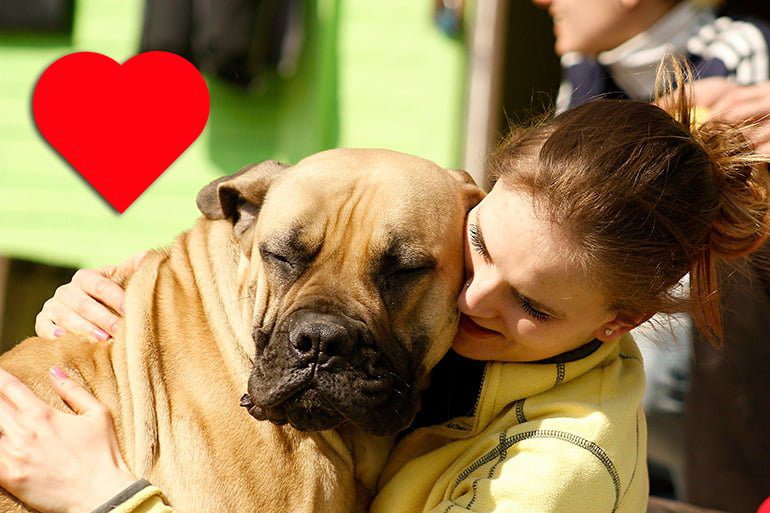 abrazar-a-nuestro-perro-en-casa