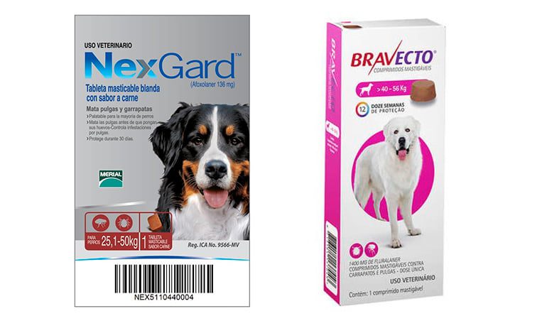 pastilla-nexgard-vs-bravecto