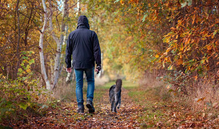 perro-paseando-junto-a-su-humano-sin-correa