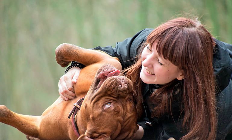 perro jugando con su humana
