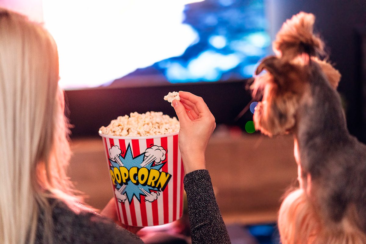 perro comiendo palomitas dde maiz