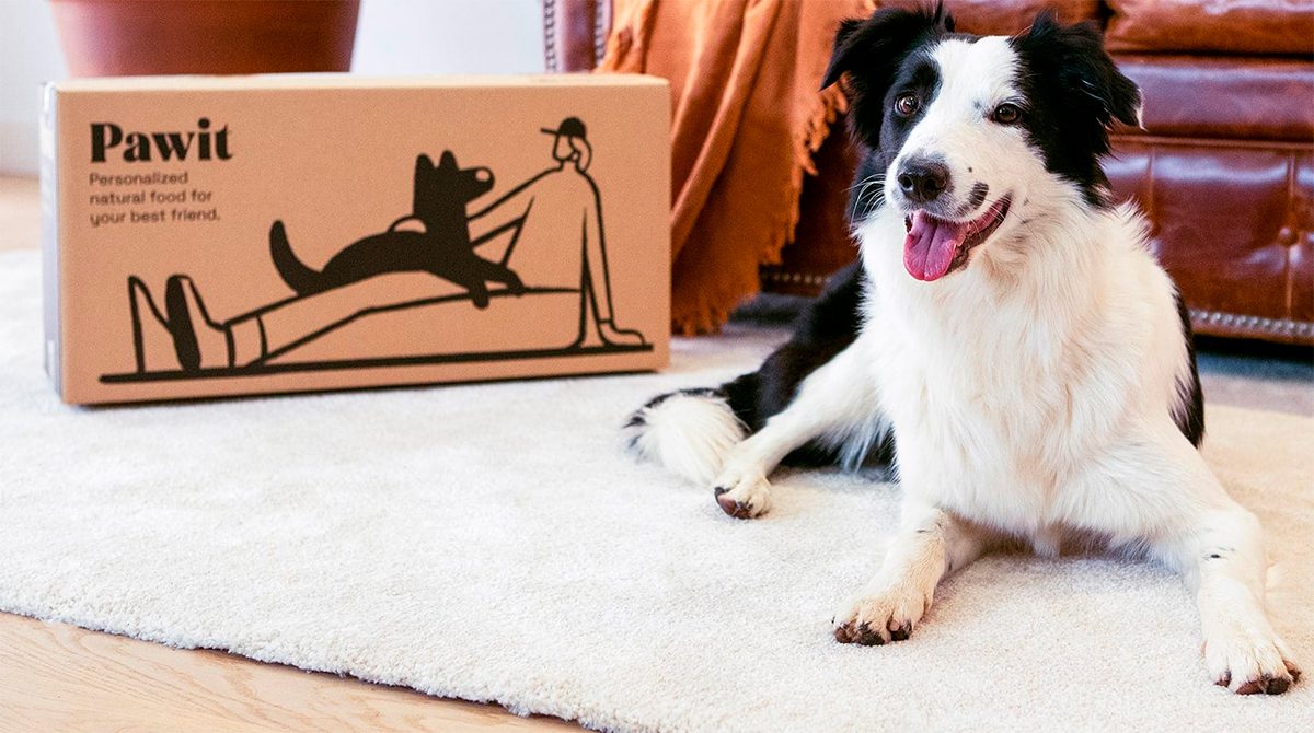 Pawit alimentacion canina