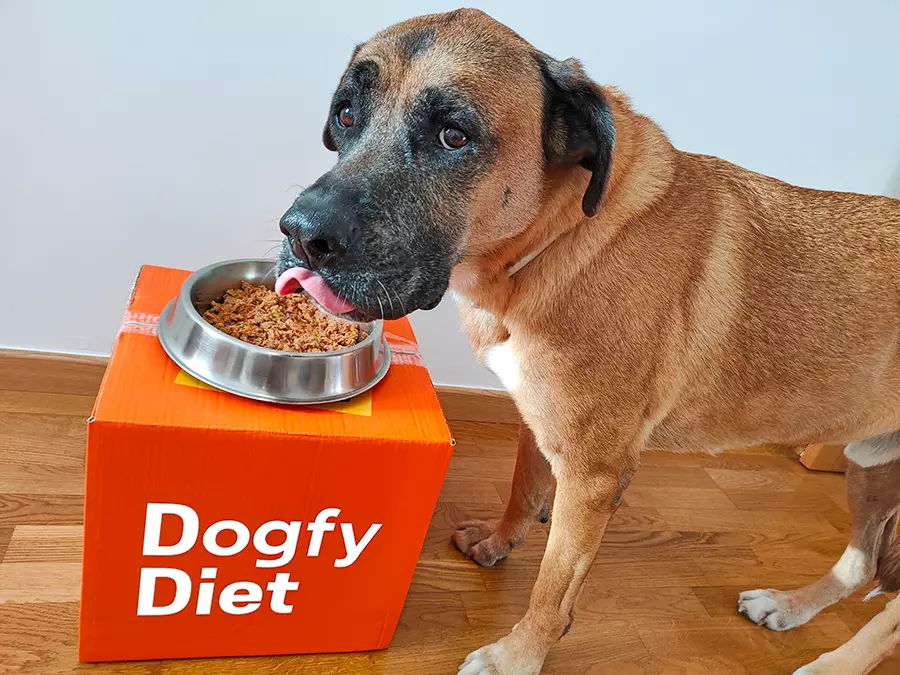 Ya no puedo resistirme mas