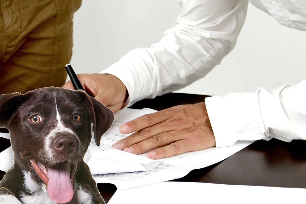 firma de poliza de responsabilidad civil